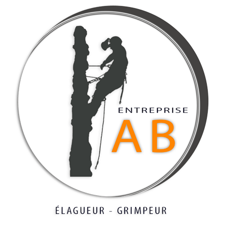 Entreprise AB ELAGAGE